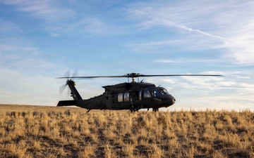 Steel Knight 25: 1st ANGLICO Marines conduct close quarter breach