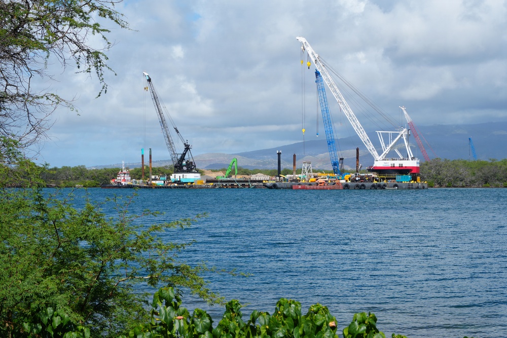 Progress of DD5 Project April 2025