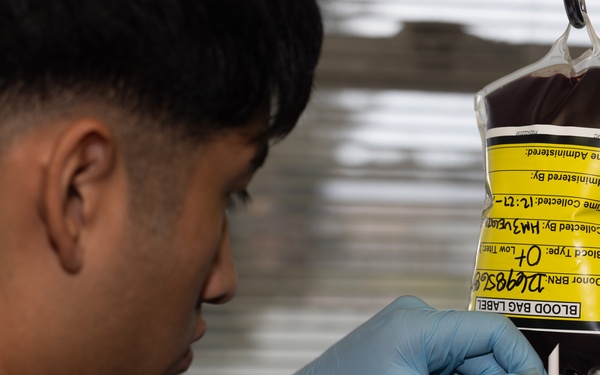 Navy Hospital Corpsman, train in Valkyrie Emergency Blood Transfusion Program