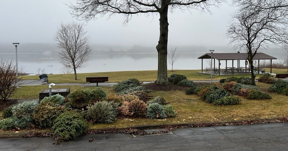 Corps of Engineers to collect Christmas trees at Woodcock Creek Lake