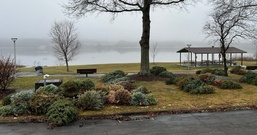 Corps of Engineers to collect Christmas trees at Woodcock Creek Lake