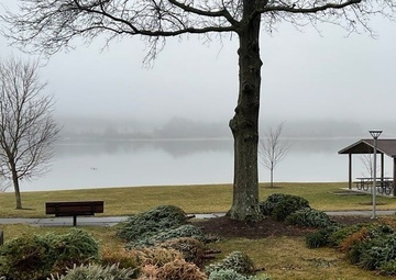 Corps of Engineers to collect Christmas trees at Woodcock Creek Lake