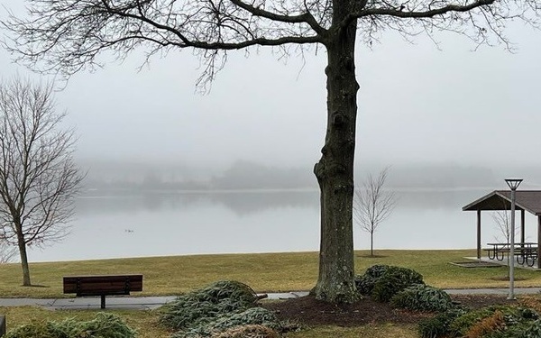 Corps of Engineers to collect Christmas trees at Woodcock Creek Lake