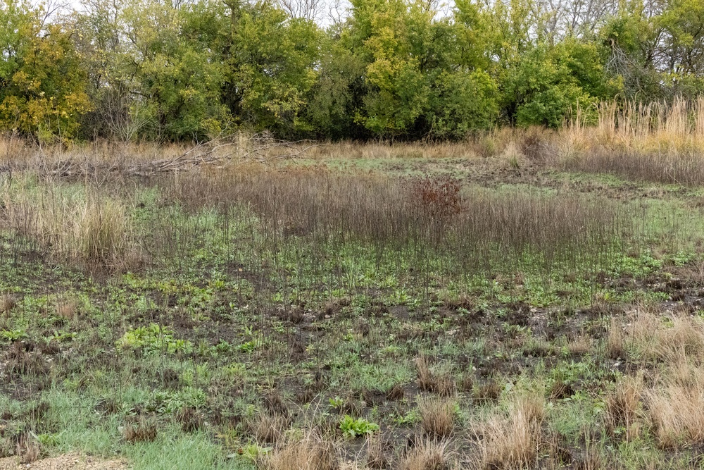 Kanopolis Lake: Go for the water, stay for the land