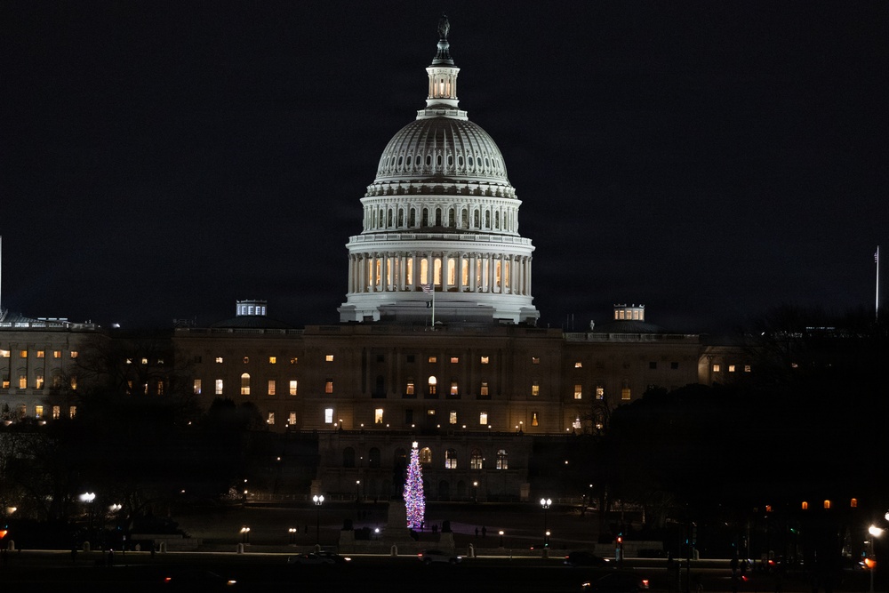 United States Capital, She glowing