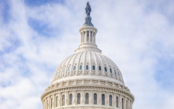 United States Capitol, Well if that aint aesthetic