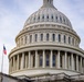 United States Capitol, Flag blowing in the wind