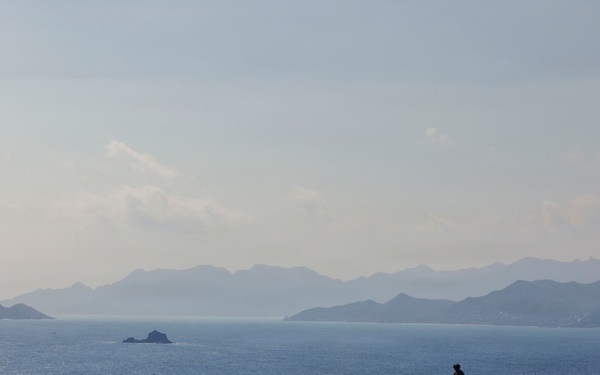 95th Combat Engineer Company - Infantry conduct live fire exercise