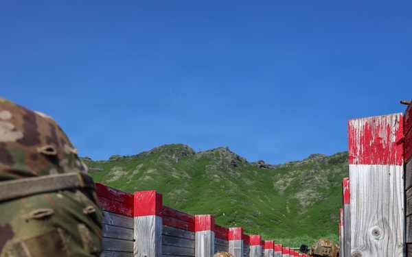 95th Combat Engineer Company - Infantry conduct live fire exercise