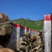 95th Combat Engineer Company - Infantry conduct live fire exercise