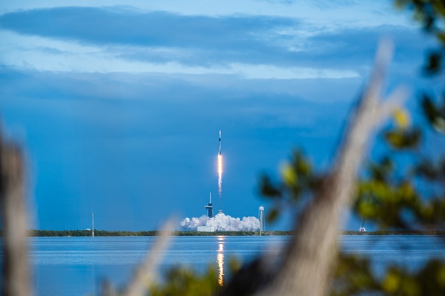 Falcon 9 | Starlink 6-99 Launch