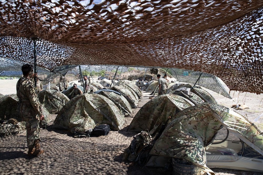 368th Military Police Company Performs QRF Training During JPMRC 26-01