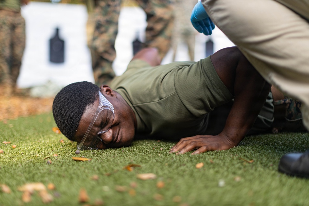 Laural Bay MCAS Beaufort SAF taser test