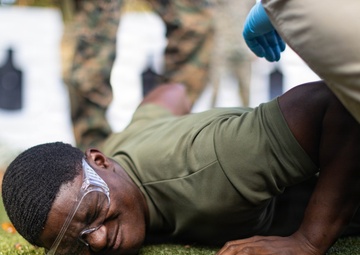 Laural Bay MCAS Beaufort SAF taser test