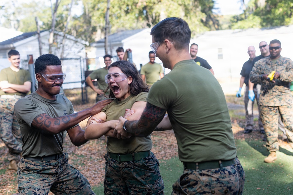 Laural Bay MCAS Beaufort SAF taser test