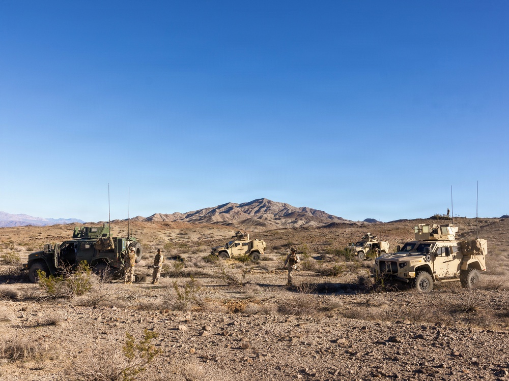 U.S. Marines with 3rd Bn., 7th Marines conduct fire support coordination exercise
