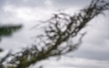 USS Nimitz (CVN 68) Returns to Homeport after 9 Month Deployment