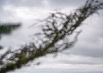 USS Nimitz (CVN 68) Returns to Homeport after 9 Month Deployment