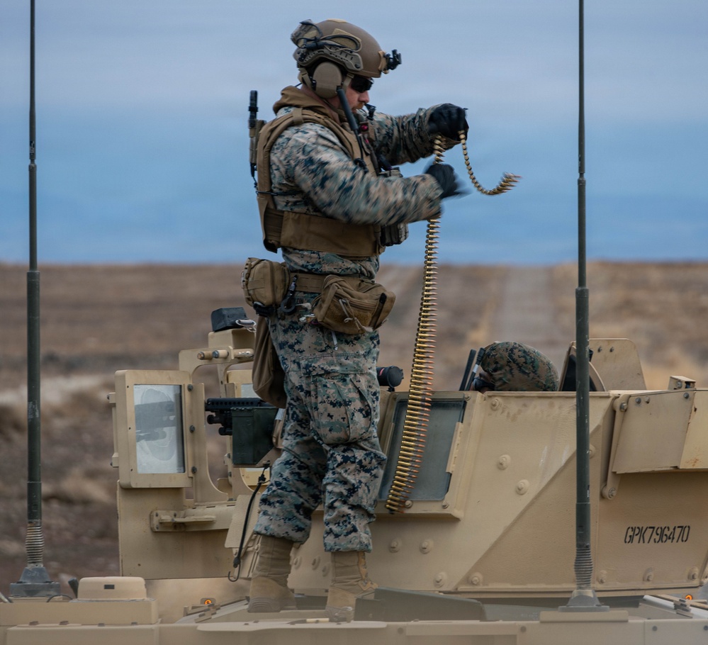 Steel Knight 25: 1st ANGLICO Marines coordinate close air support