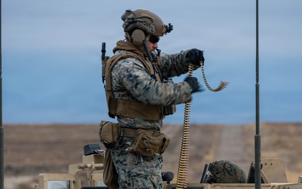 Steel Knight 25: 1st ANGLICO Marines coordinate close air support