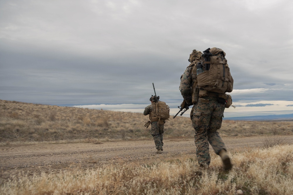 Steel Knight 25: 1st ANGLICO Marines coordinate close air support