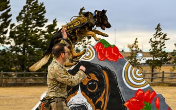 90 MW and CAS Partnership Revitalizes Dog Park