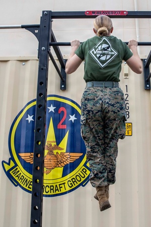 Misawa Wild Weasel of the Month for November 2018 MRR