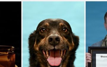 Recovery, resiliency: Two steps forward, two steps back