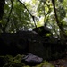 Relics of World War II in Peleliu, Palau