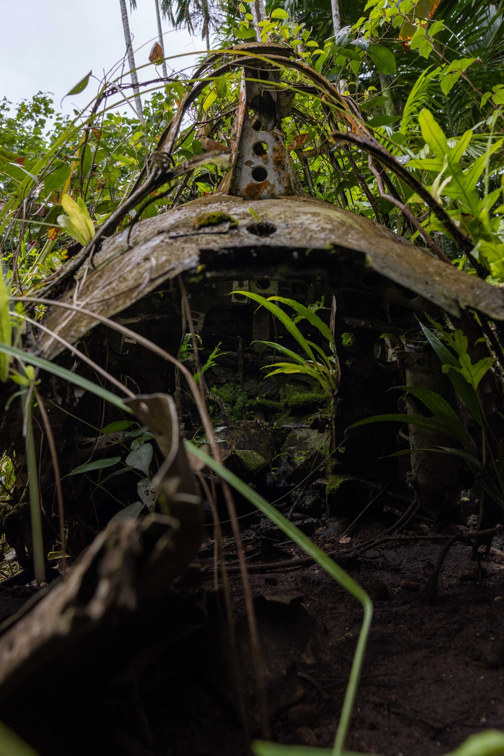 Relics of World War II in Peleliu, Palau