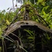 Relics of World War II in Peleliu, Palau