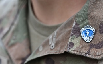 Sky Soldiers Awarded the Military Marching Badge