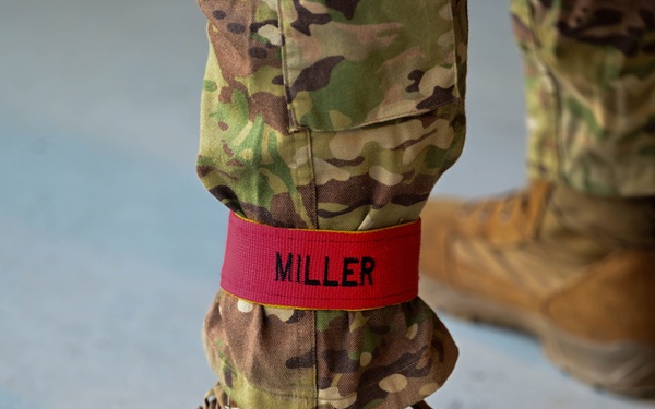 173rd AB jumps alongside NATO partners