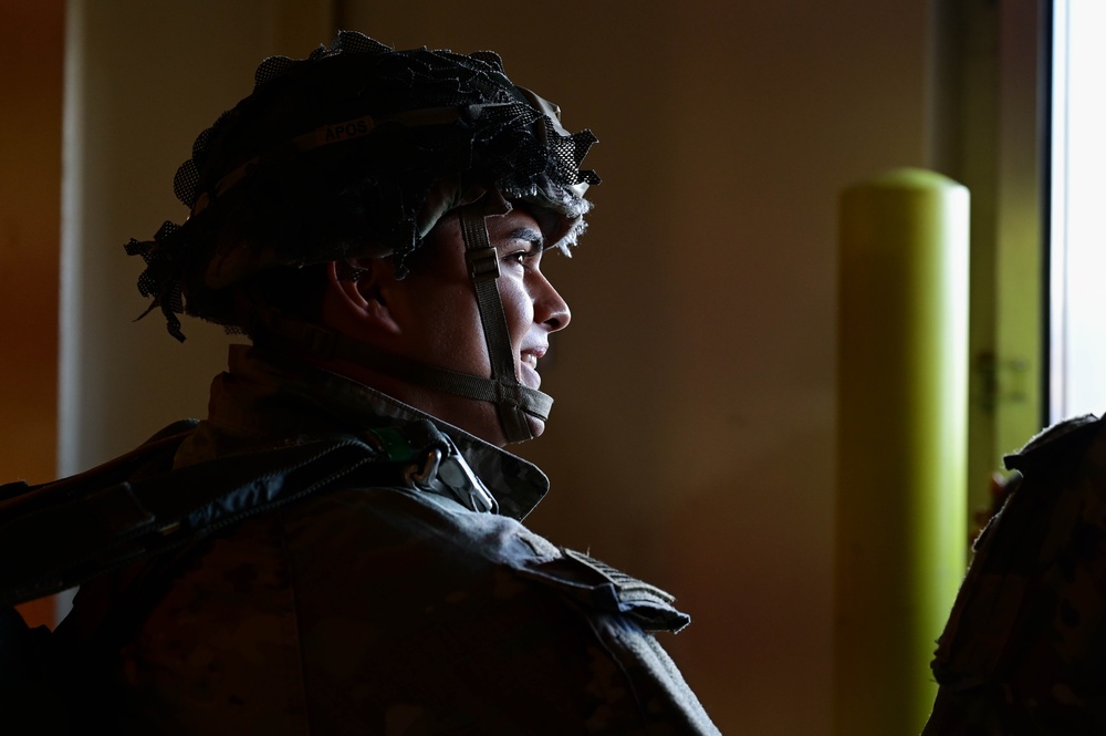 173rd AB jumps alongside NATO partners