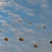 173rd AB jumps alongside NATO partners