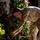NORAD Tracks Santa 2025