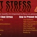 Heat Stress magazine graphic