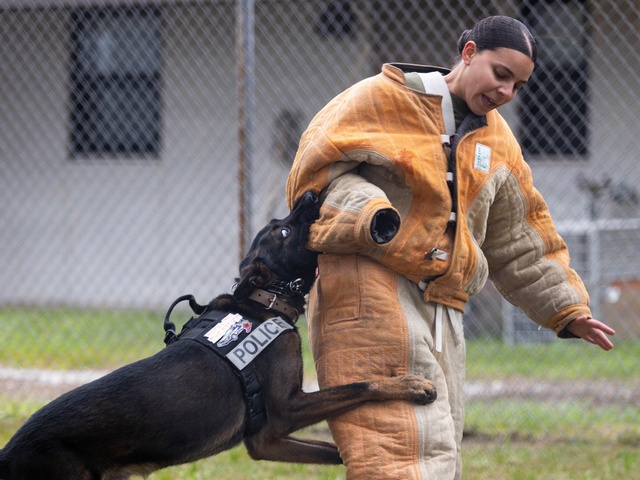 MCAS Beaufort educational tour Sprayberry High School Navy JRTOC