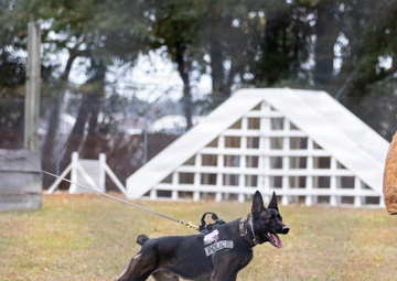 MCAS Beaufort educational tour Sprayberry High School Navy JRTOC