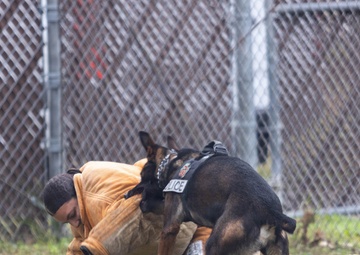 MCAS Beaufort educational tour Sprayberry High School Navy JRTOC