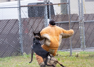 MCAS Beaufort educational tour Sprayberry High School Navy JRTOC