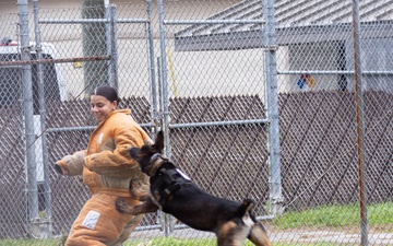 MCAS Beaufort educational tour Sprayberry High School Navy JRTOC