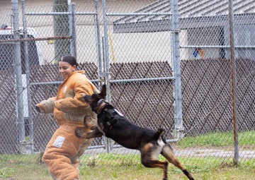 MCAS Beaufort educational tour Sprayberry High School Navy JRTOC
