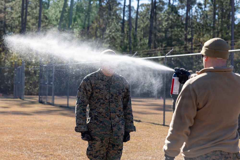 Marine Corps Martial Arts Instructor Course oleoresin capsicum spray training