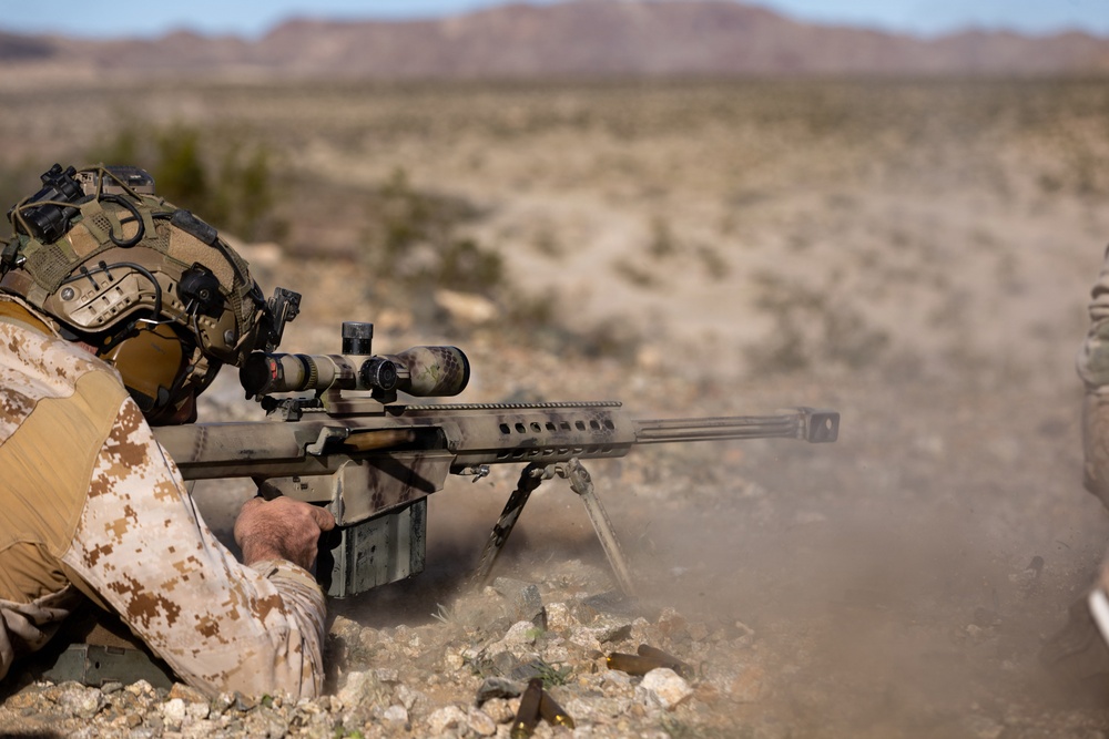 2/4 Preforms live fire exercise as part of SERVICE LEVEL TRAINING EXERCISE 0-25