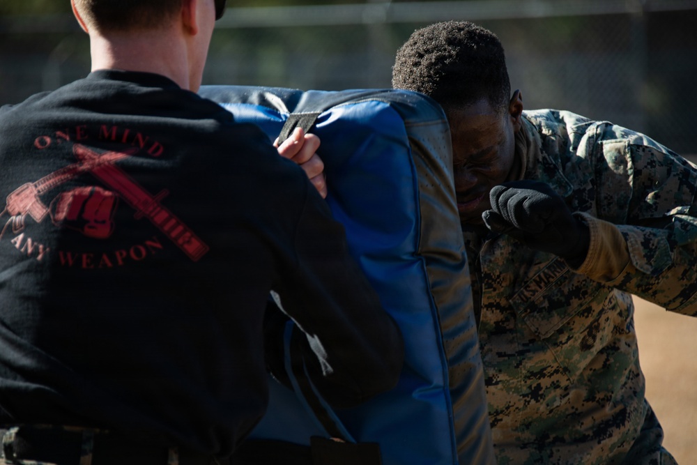 Marine Corps Martial Arts Instructor Course oleoresin capsicum spray training