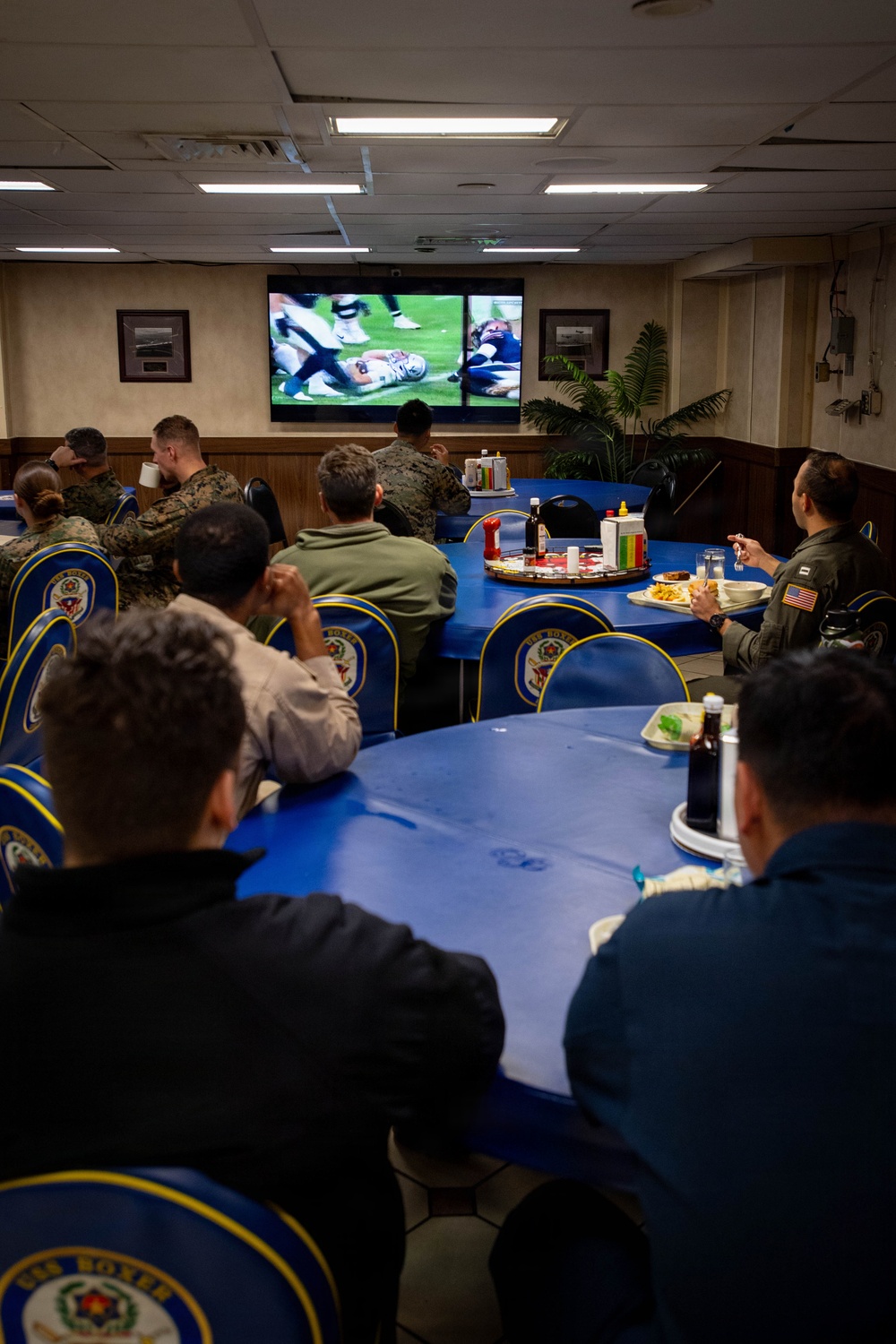 Boxer Watches the Army vs Navy Game