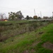Lower San Joaquin River Phase E Site Visit with St. Paul District