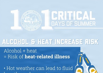 101 Critical Days of Summer - PHNSYIMF