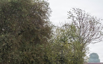 Lower San Joaquin River Phase E Site Visit with St. Paul District